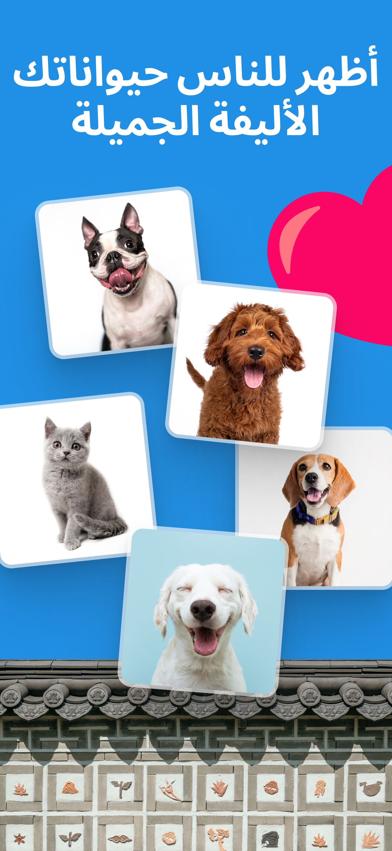 استعرض حيوانك الأليف