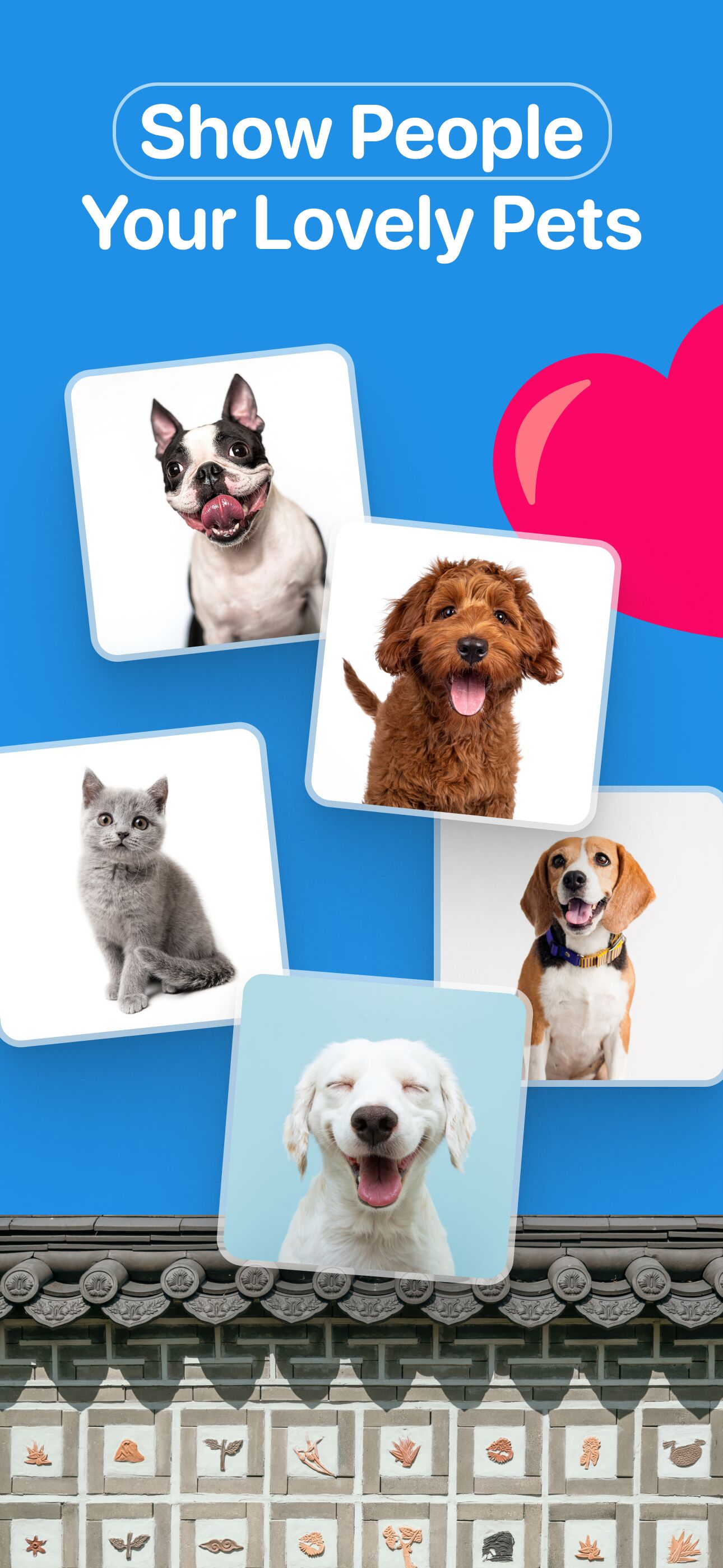 Show off your lovely pet