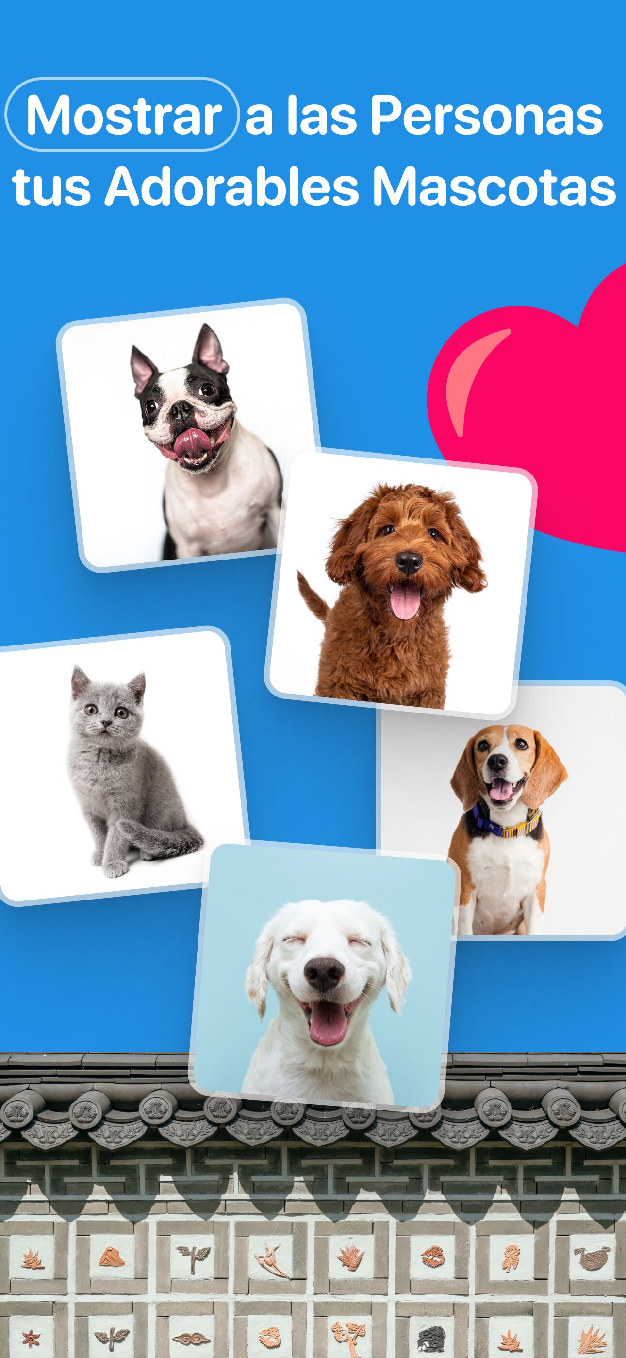 Presume tu adorable mascota