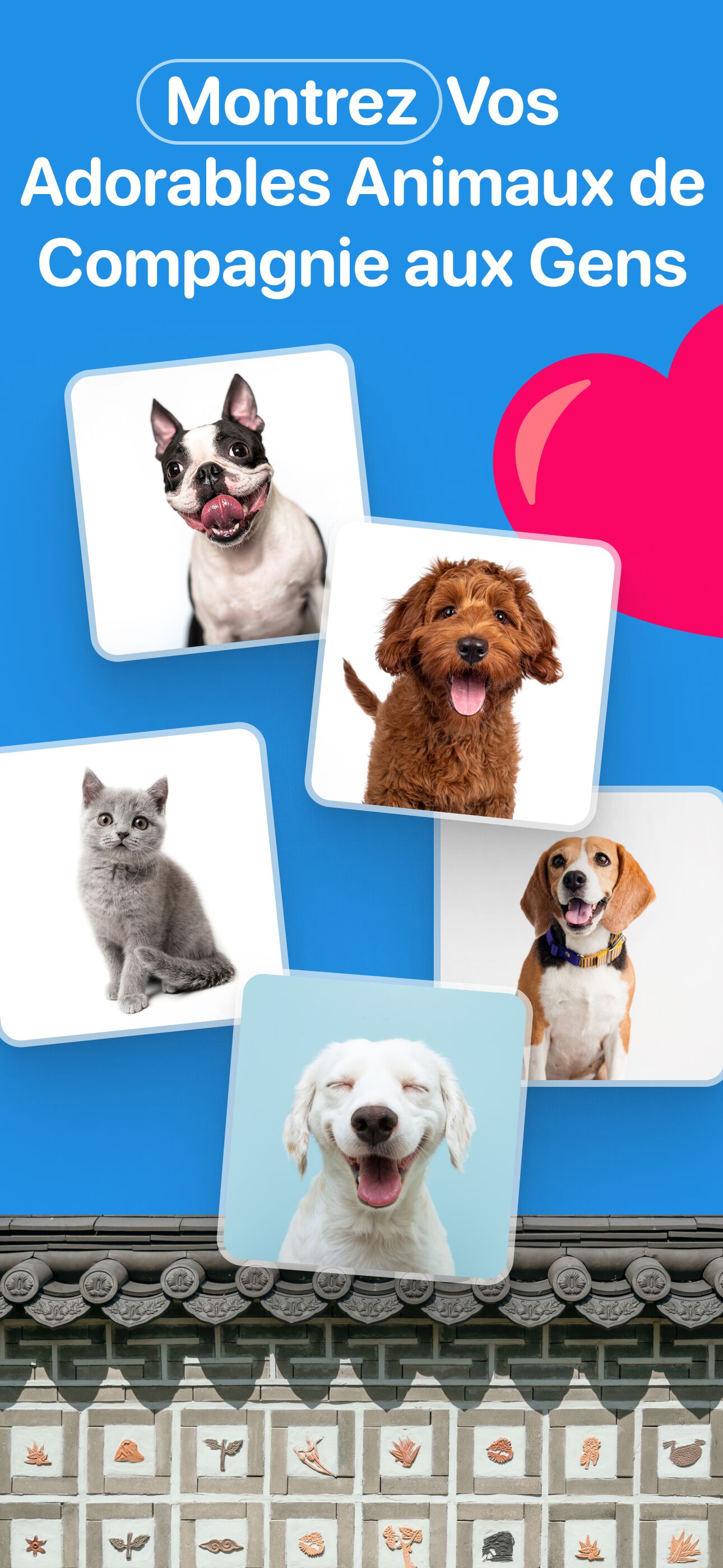 Présentez votre adorable animal