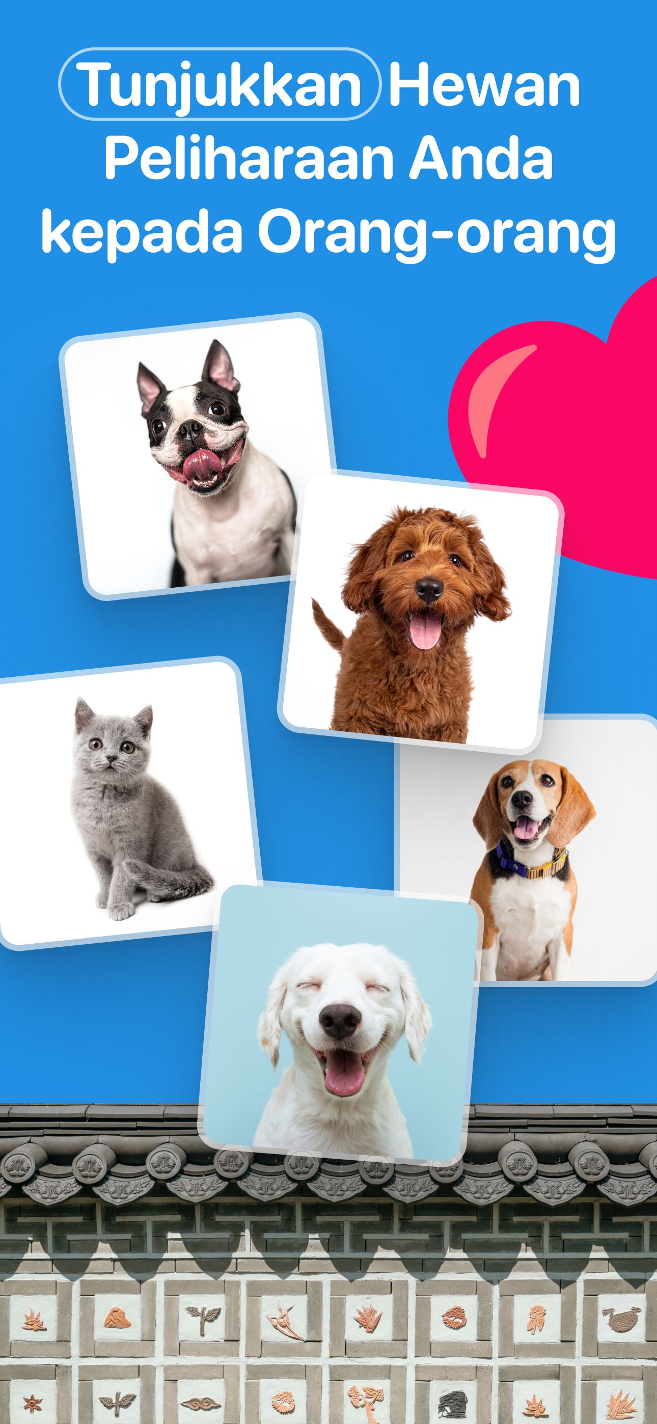 Pamerkan hewan peliharaanmu