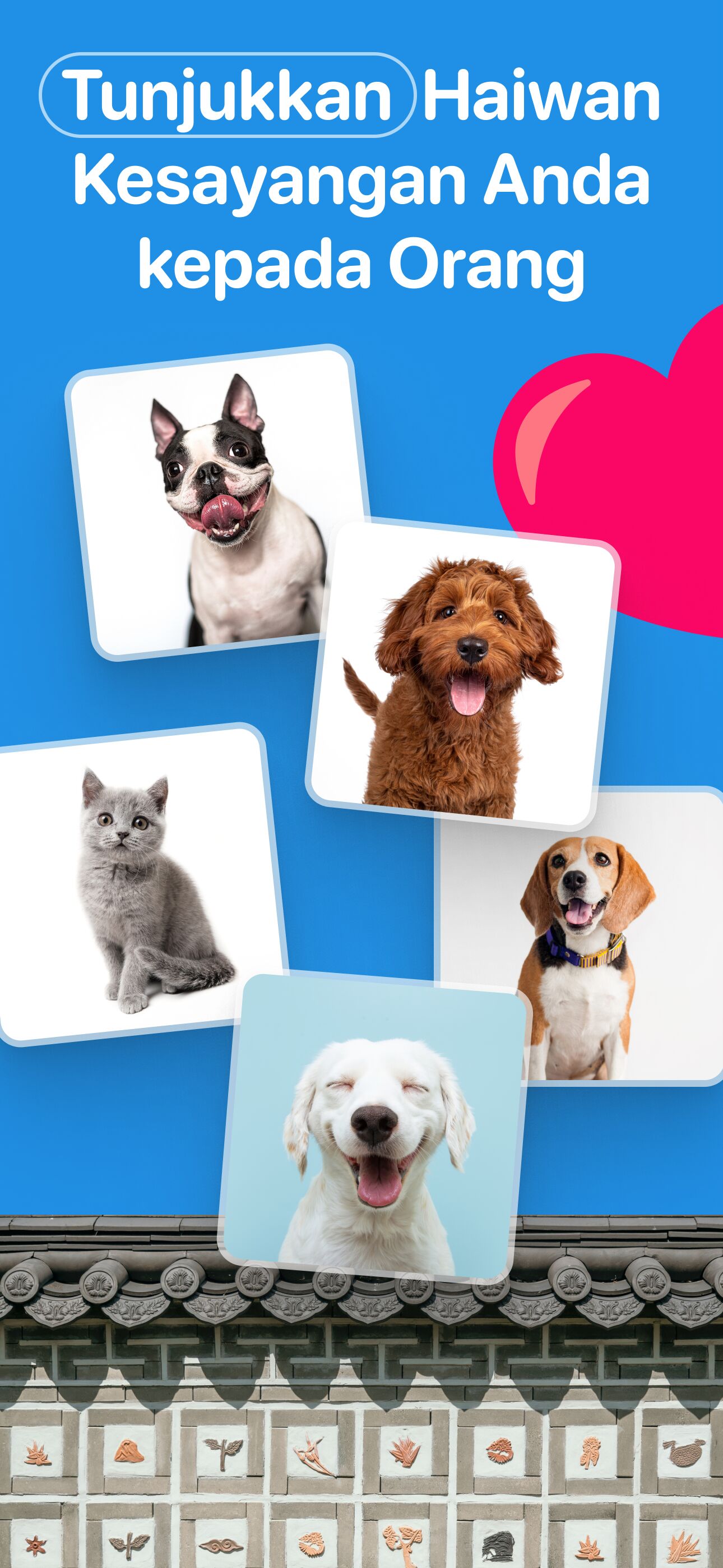 Tunjuk haiwan peliharaan