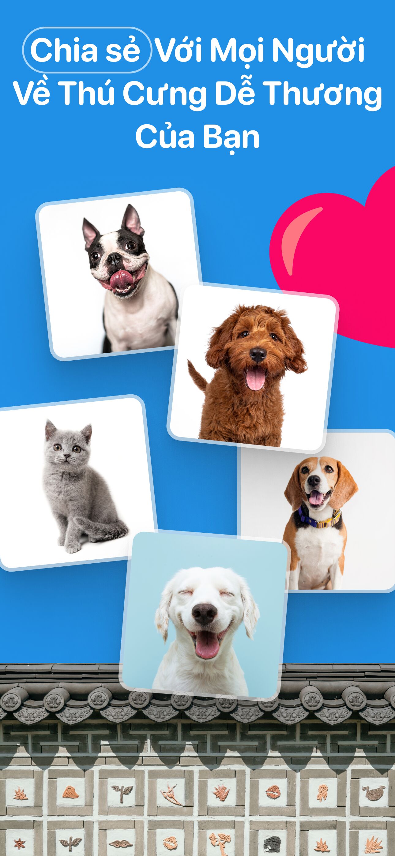 Khoe thú cưng